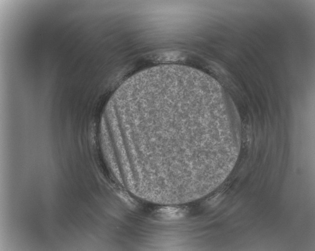 X0000066490326200604141703