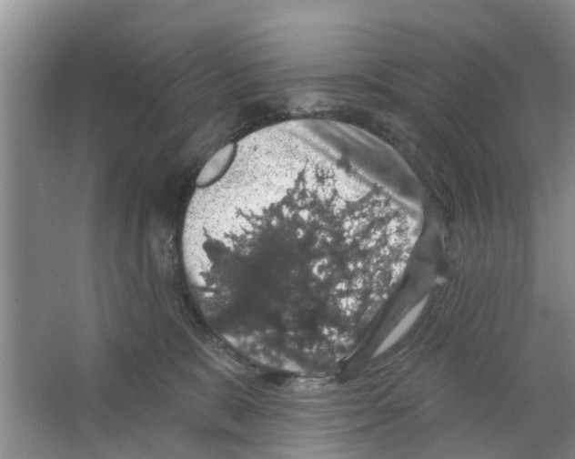 X0000066490327200604141703