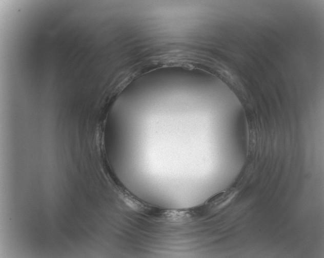 X0000066490333200604141703