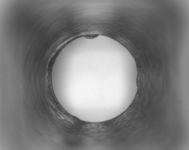X0000066490338200604141702