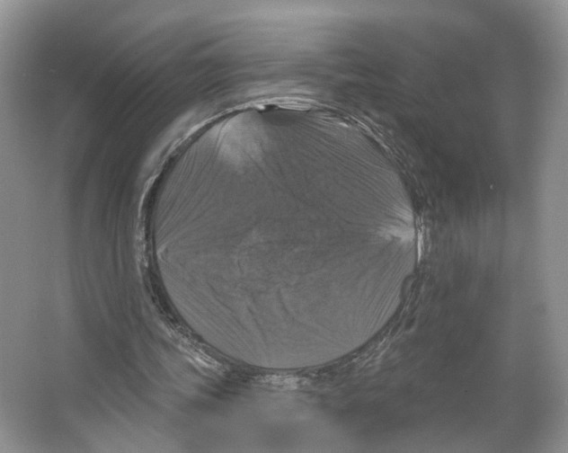 X0000066490339200604141702