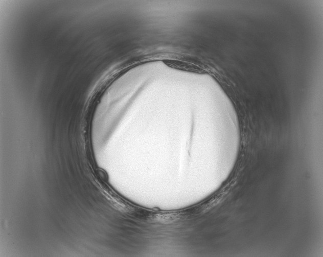 X0000066490341200604141702