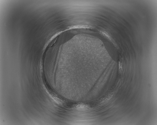 X0000066490348200604141702
