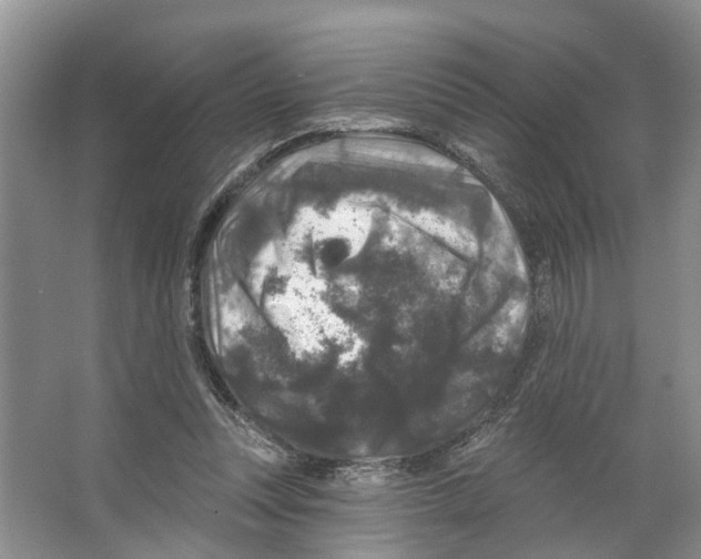 X0000066490351200604141702
