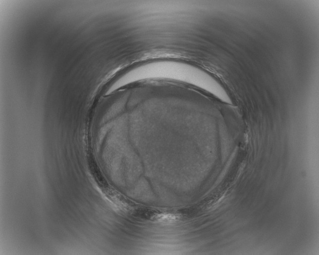 X0000066490352200604141702