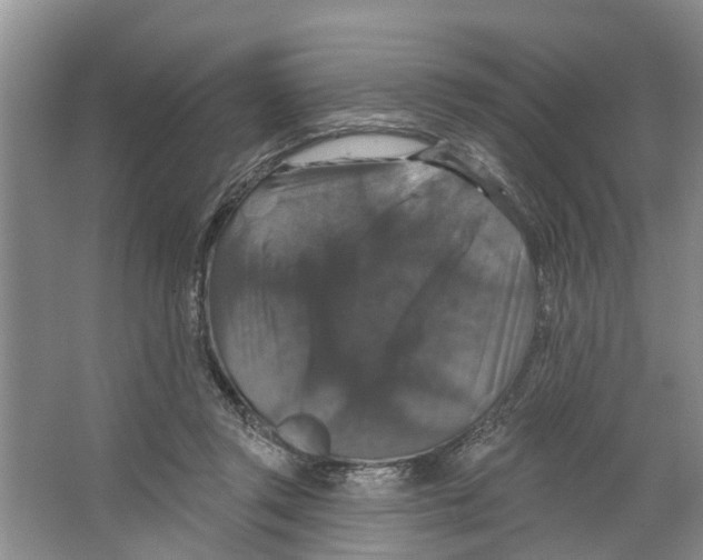 X0000066490357200604141702