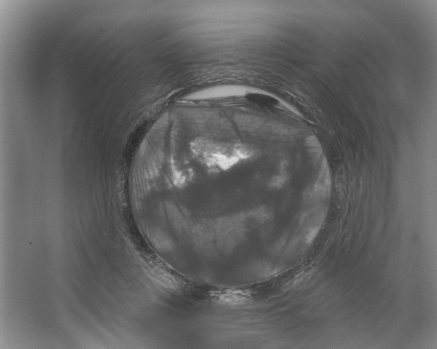 X0000066490359200604141702