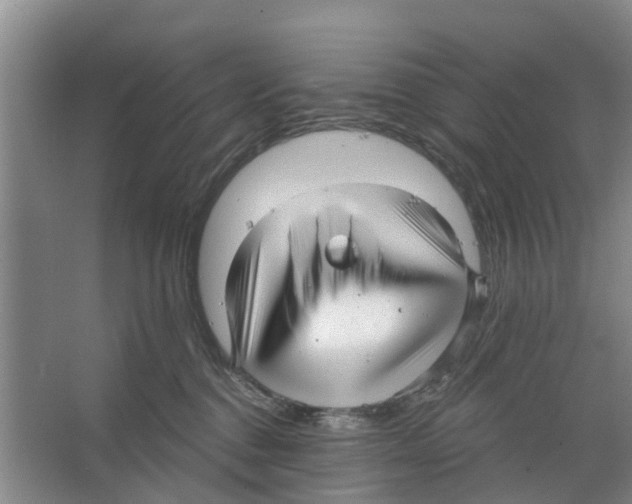 X0000066490376200604141703
