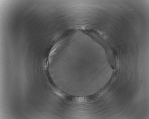X0000066490383200604141703