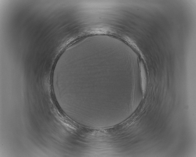 X0000066490386200604141702