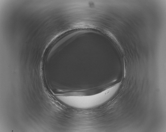 X0000066490387200604141702