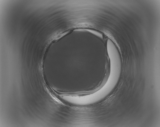 X0000066490389200604141702