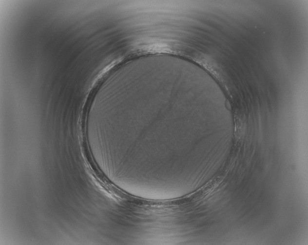 X0000066490390200604141702