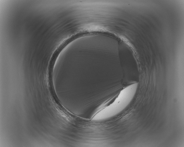 X0000066490391200604141702