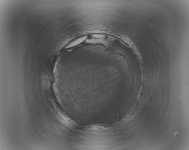 X0000066490393200604141702