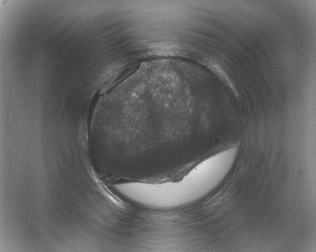X0000066490397200604141702