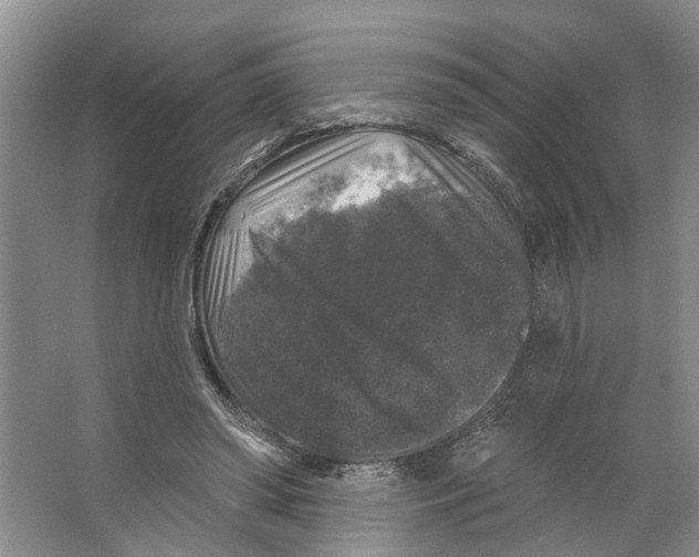 X0000066490398200604141702