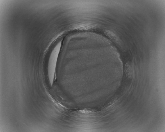 X0000066490400200604141702