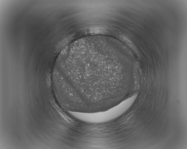 X0000066490401200604141702