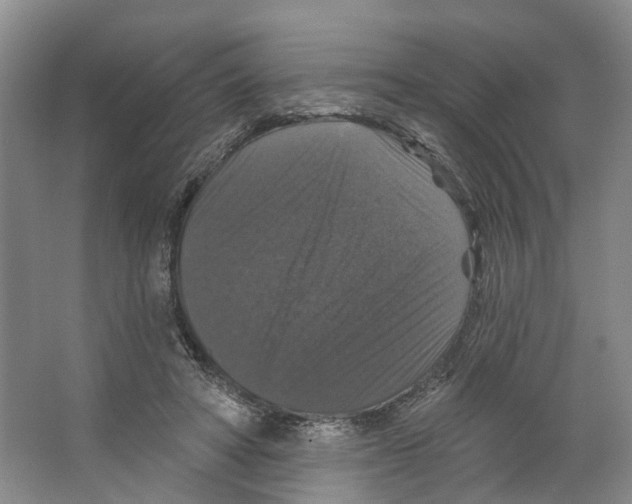 X0000066490402200604141702