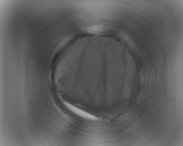 X0000066490404200604141702