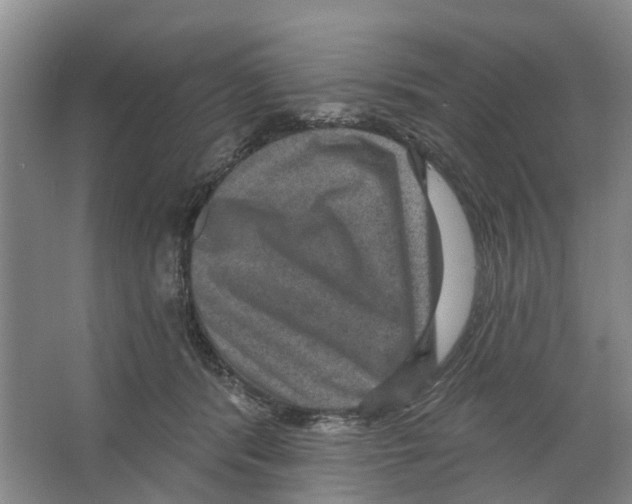 X0000066490416200604141701