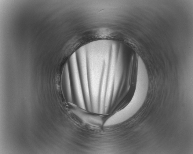 X0000066490421200604141701