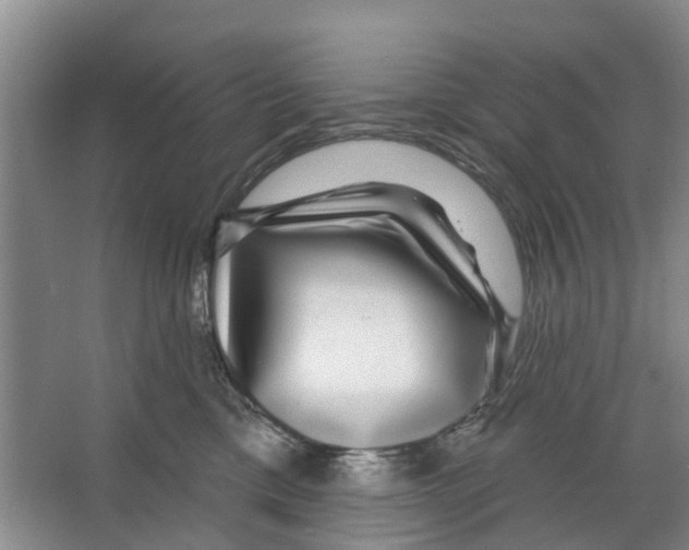 X0000066490425200604141701