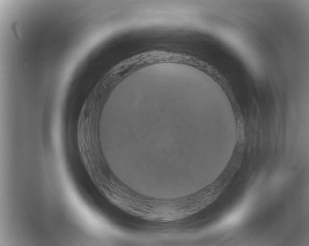 X0000066490431200604141701
