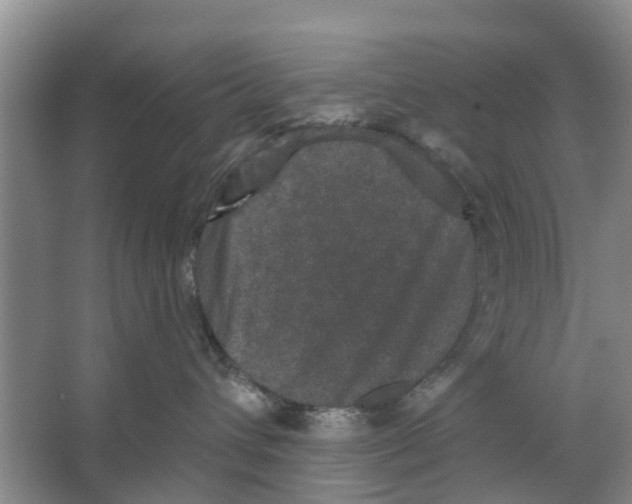 X0000066490432200604141701