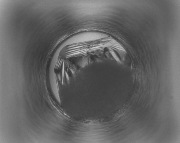 X0000066490434200604141700