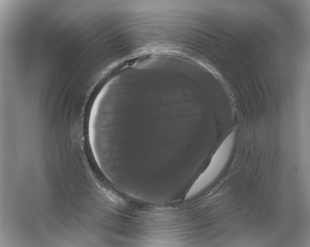 X0000066490438200604141700
