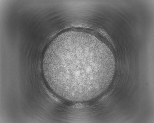 X0000066490441200604141701