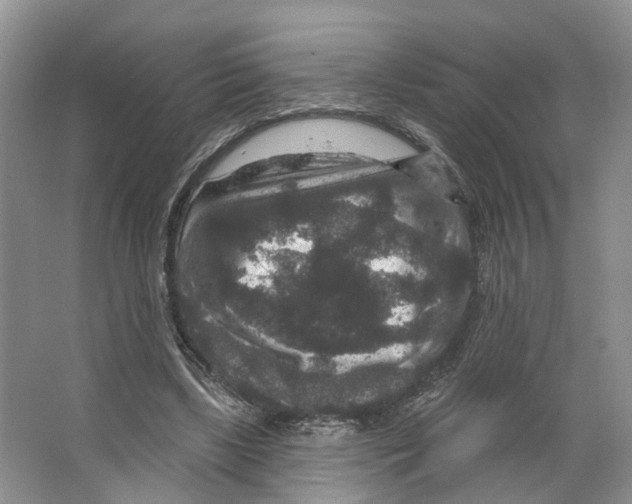 X0000066490443200604141701