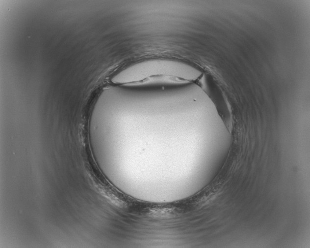 X0000066490450200604141701