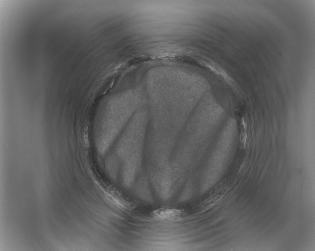 X0000066490452200604141701