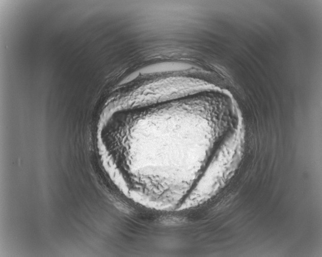 X0000066490453200604141701