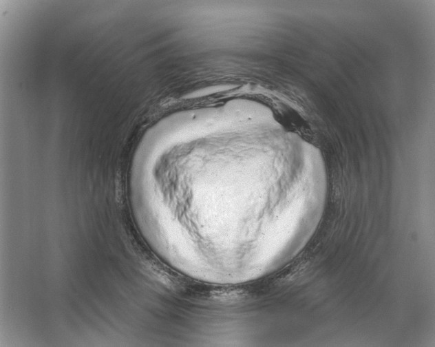 X0000066490457200604141701