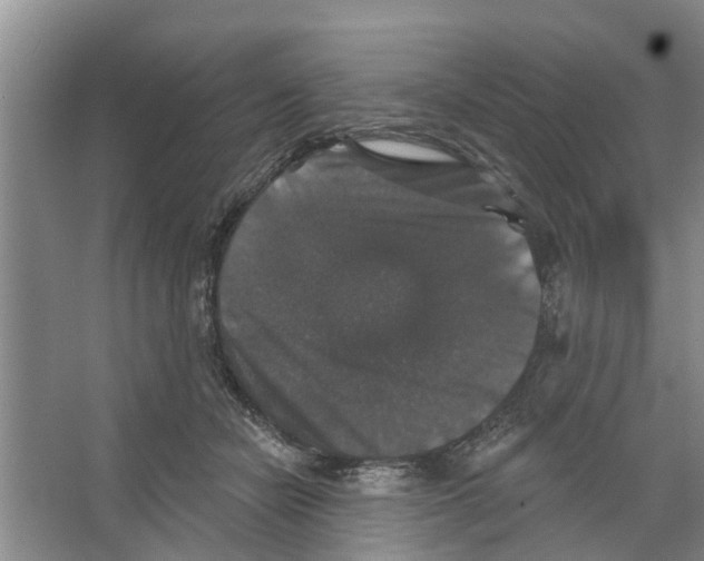 X0000066490462200604141701