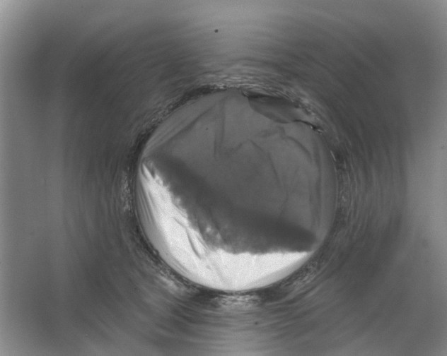 X0000066490465200604141701