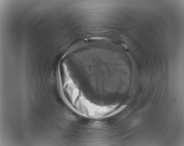 X0000066490467200604141701