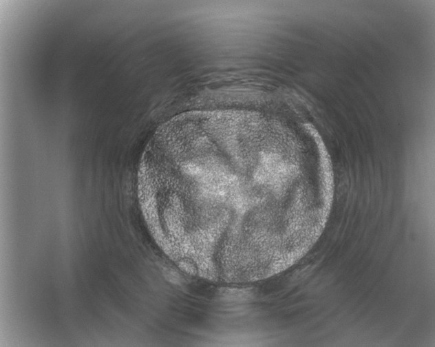X0000066490469200604141701