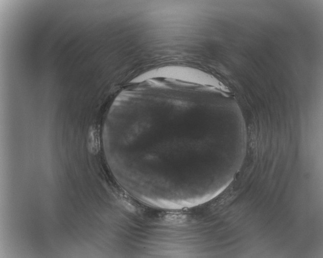 X0000066490471200604141701