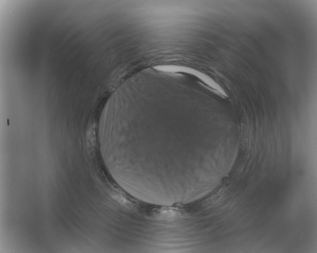 X0000066490475200604141701