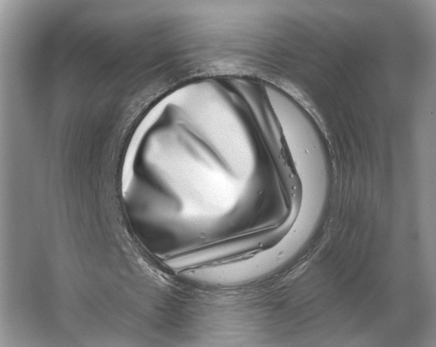 X0000066490481200604141700