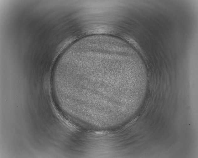 X0000066490482200604141700