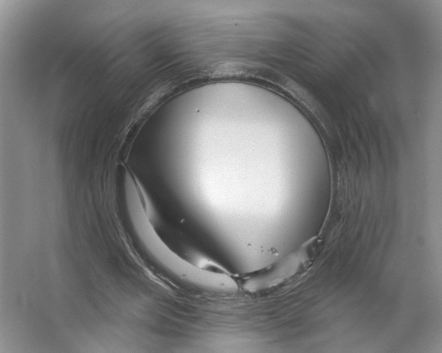 X0000066490485200604141700