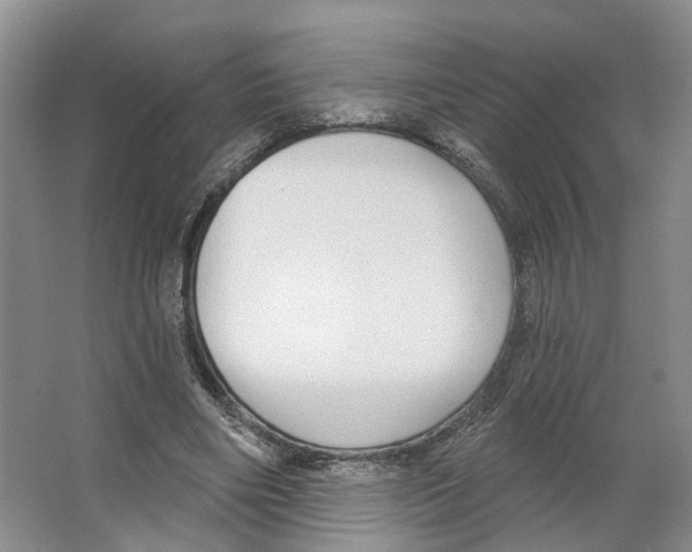 X0000066490490200604141700