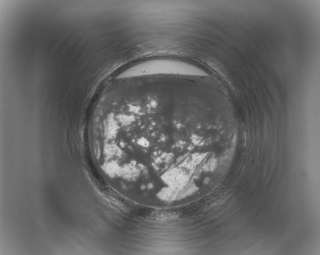 X0000066490491200604141700