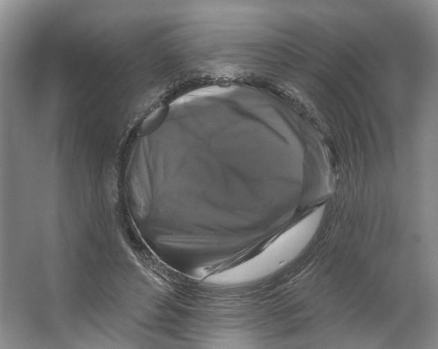 X0000066490496200604141700